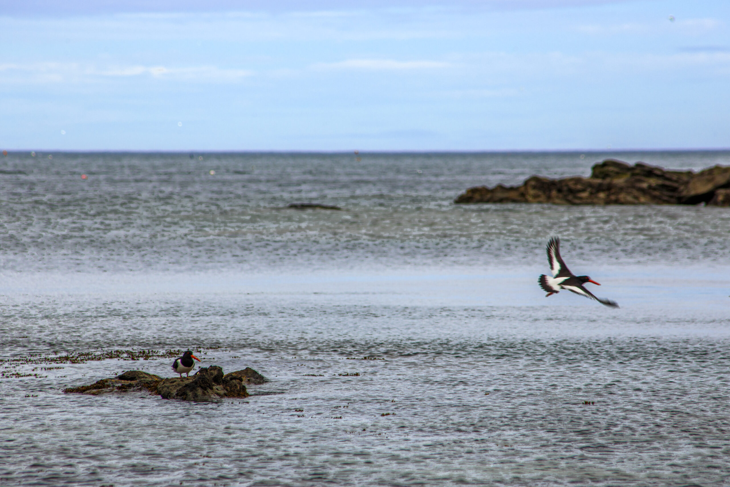 2021-05_Ecosse-Border_IMG_5655_PRINT_0001